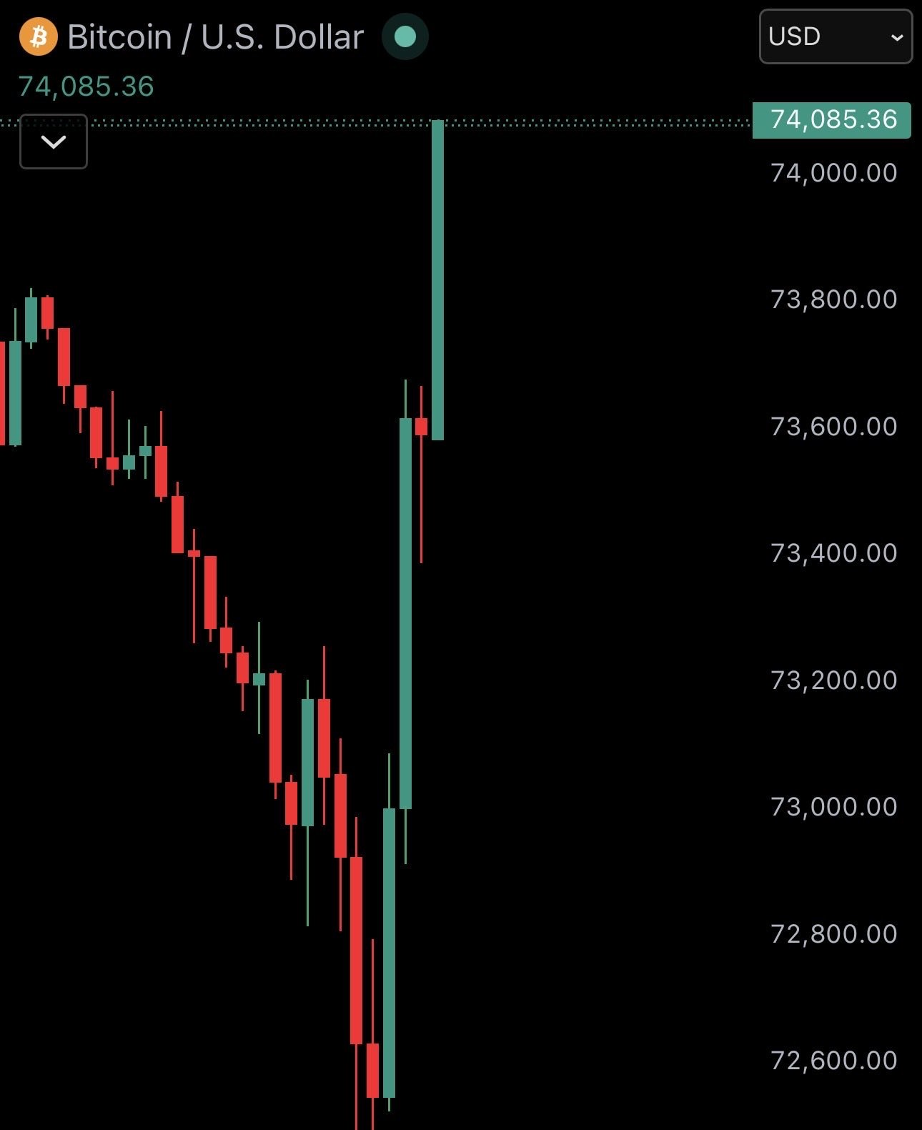 Bitcoin erases losses and reclaims $74,000 after President Trump announces nave…