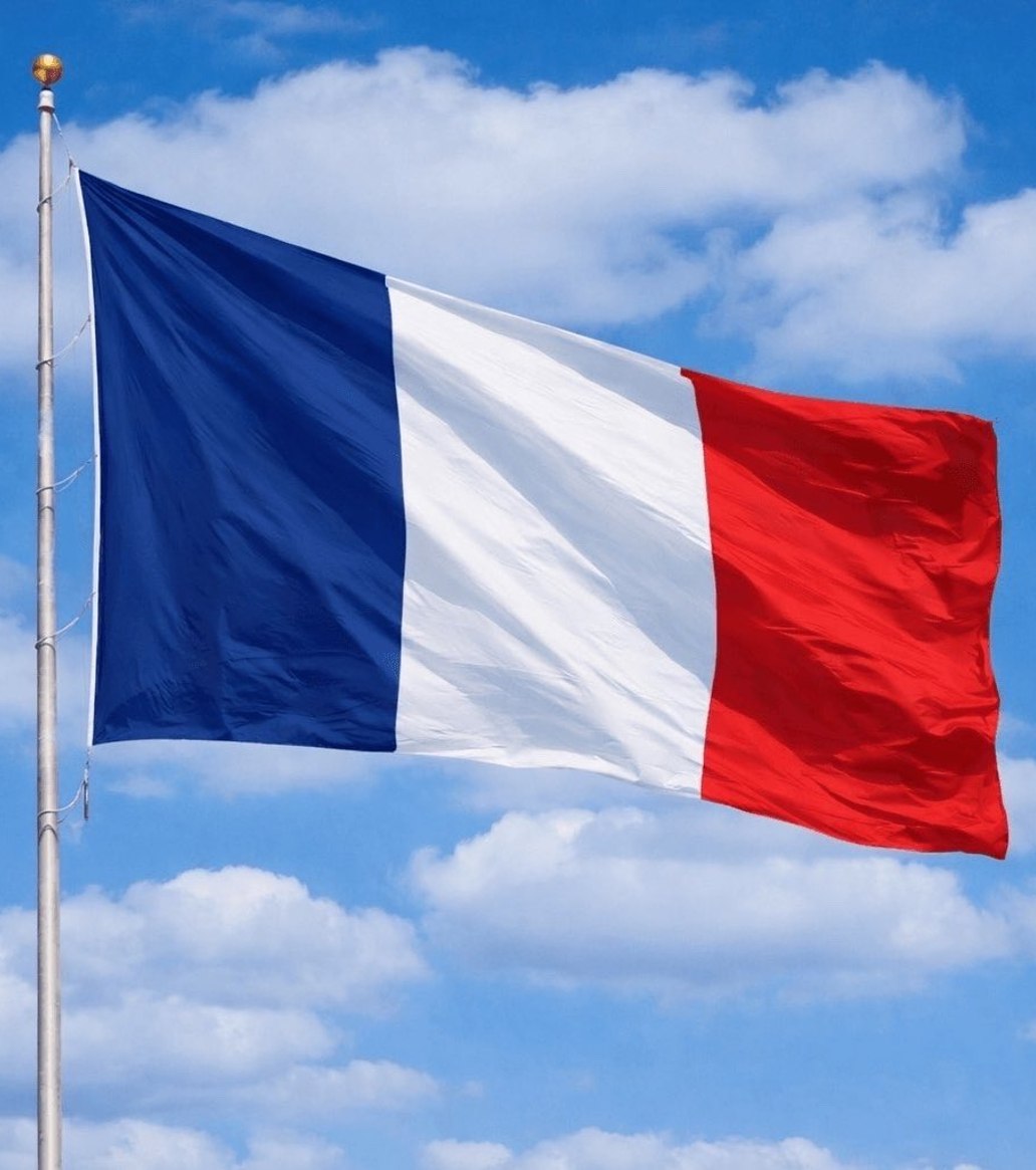 JUST IN: 🇫🇷 France bans social media for children under the age of 15.