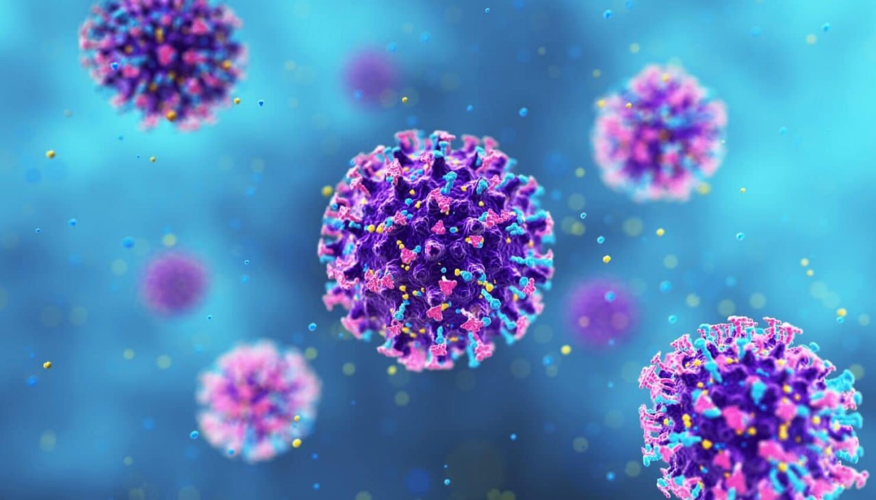 Colorado health officials investigate adult hantavirus death not linked to crui…